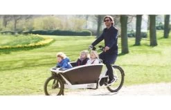 Urban Arrow Family Cargo Line Zwart -Fiets Serie Winkel 13911eef6727fdd86a079762a60d6de4e46a61930451959b9af87f5a18a5fd48 1