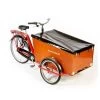 Bakfiets.nl Dekzeil Cargo Trike