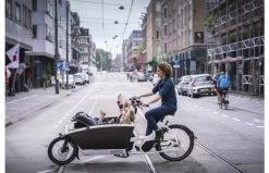 Urban Arrow Family Performance Plus Wit 21 Urban Arrow Family Performance Plus Wit -Fiets Serie Winkel 4384d03d568d3301152156d07745cf703c92a41e9859b97337f9872c03462c1e 1 1