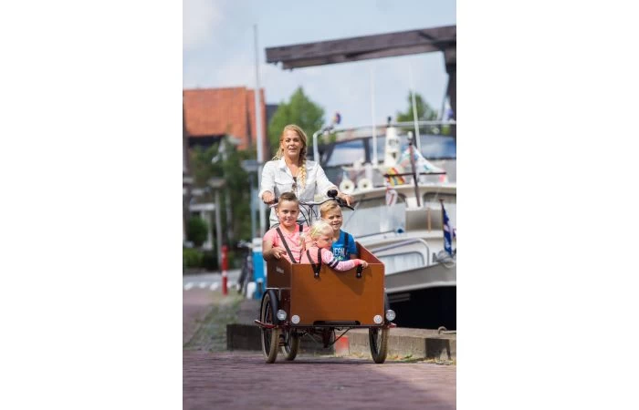 Bakfiets.nl CargoTrike Classic Wide Bakfiets 7 Bakfiets.nl CargoTrike Classic Wide Bakfiets - Afbeelding 7
