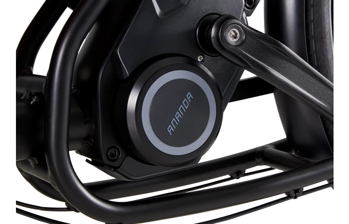 Cangoo Buckle E-bakfiets 5 Cangoo Buckle E-bakfiets - Afbeelding 5