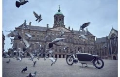 Urban Arrow Family Anniversary -Fiets Serie Winkel bt25883