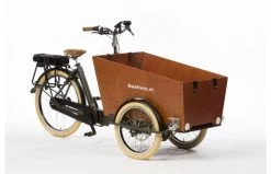 Bakfiets.nl CargoTrike Cruiser Narrow Steps Elektrische Bakfiets