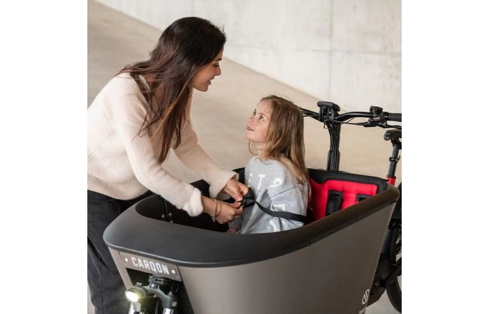 Carqon Classic Elektrische Bakfiets E2 7 Carqon Classic Elektrische Bakfiets E2 - Afbeelding 7