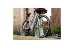 Cortina E-Blau DB8 36v SDMM Belt Dames -Fiets Serie Winkel ceb8gbsdmmd50mgm 0x767