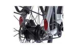 Cortina E-Blau DB8 36v SDMM Belt Dames -Fiets Serie Winkel ceb8gbsdmmd50mgm 12x2400