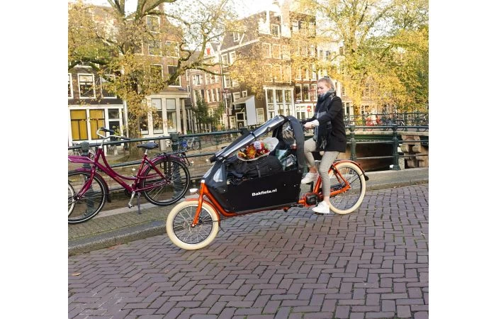 Bakfiets.nl CargoBike Cruiser Long Steps Elektrische Bakfiets 7 Bakfiets.nl CargoBike Cruiser Long Steps Elektrische Bakfiets - Afbeelding 7