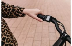 Qwic Urban RD9 Elektrische Damesfiets -Fiets Serie Winkel d7c818c89833c7af20ef4193f24f2bce293afe66243e83dd4152ff4a9499ec96