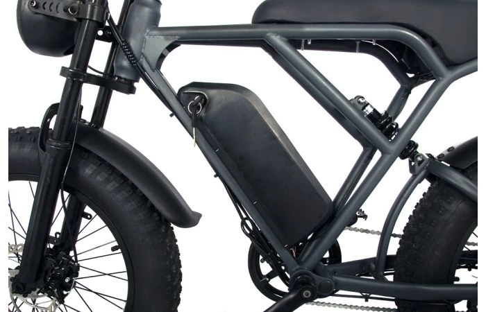 ESMASTER BX 250 Matt Black Fatbike 2 ESMASTER BX 250 Matt Black Fatbike - Afbeelding 2