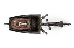 Urban Arrow Maxi Cosi Adapter -Fiets Serie Winkel f1800e3cc76141aa51dc49b1b73df4b98a898c4c6bd3bc49655a6f3a783b3a81