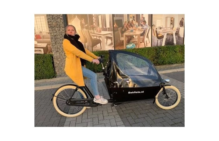 Bakfiets.nl CargoBike Cruiser Long Steps Elektrische Bakfiets 9 Bakfiets.nl CargoBike Cruiser Long Steps Elektrische Bakfiets - Afbeelding 9