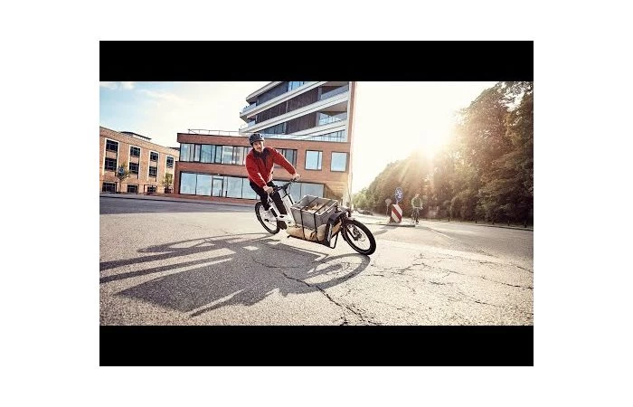 Bergamont Bagage Afdekhoes 5 Bergamont Bagage Afdekhoes - Afbeelding 5