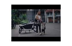 Urban Arrow Family Active Line Plus Zwart 21 Urban Arrow Family Active Line Plus Zwart -Fiets Serie Winkel hqdefault 35 40