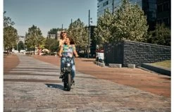 Phatfour FLB+ Fatbike 15 Phatfour FLB+ Fatbike -Fiets Serie Winkel phatfourweb 0061