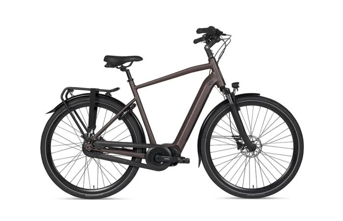 BSP Musa Elektrische Herenfiets 3 BSP Musa Elektrische Herenfiets - Afbeelding 3