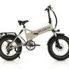 Troy Diablo Storm E-fatbike