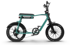 Phatfour FLS+ Fatbike 9 Phatfour FLS+ Fatbike -Fiets Serie Winkel website sides.235.2